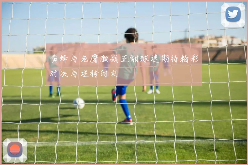 黄蜂与老鹰激战正酣球迷期待精彩对决与逆转时刻