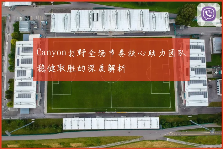 Canyon打野全场节奏核心助力团队稳健取胜的深度解析