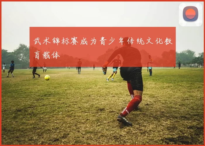 武术锦标赛成为青少年传统文化教育载体