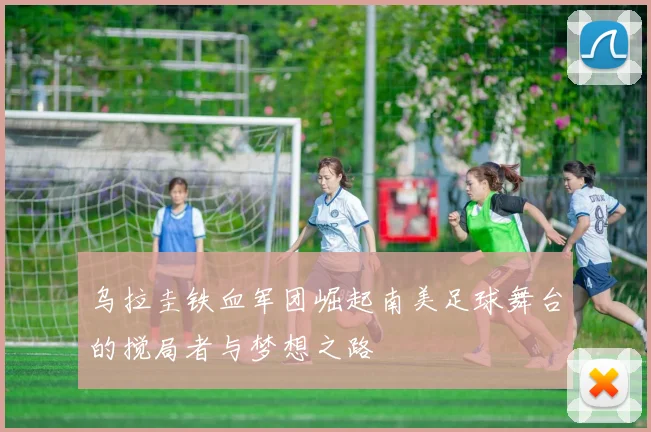 乌拉圭铁血军团崛起南美足球舞台的搅局者与梦想之路